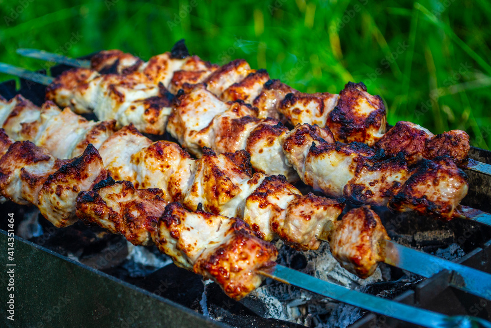 Barbecue on the grill. Fried, ruddy pieces of meat on skewers. Camping, family vacation, rest on nature. Green grass on background.