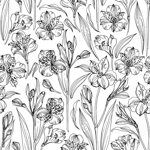 Pattern Flowers vector line drawing. Alstroemeria. Set of floral elements. Wedding decorations.
