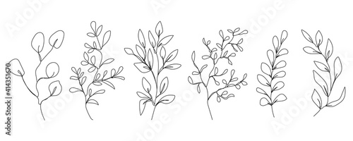 Vector Set of Hand Drawn Line Art Botanical Elements  Leaves. Minimalist Trendy Contemporary Design Perfect for Wall Art  Prints  Social Media  Posters  Invitations  Branding Design.