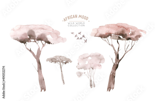 Photography Watercolor landscape: african desert sunrise