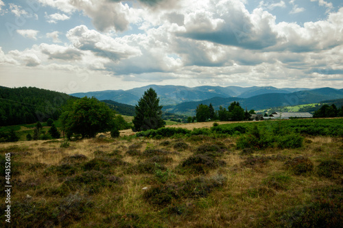 Paysage des plateaux des Vosges en France par une belle journ  e estivale  avec la lande s  ch  e la for  t de r  sineux et des nuages dans le ciel.
