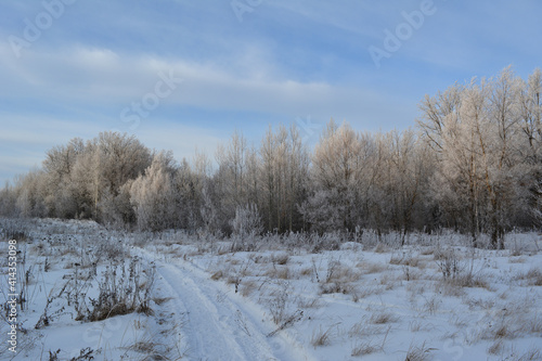 Picturesque winter landscape. Walking path through snowy field with dry herbs to forest with trees in hoarfrost.