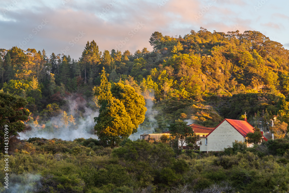 Obraz premium Steam from geothermal hot springs rises from the forest at Whakarewarewa Village, Rotorua, New Zealand
