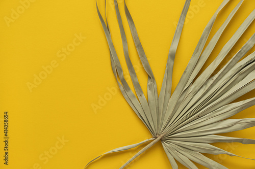 Closeup of dry tropical palm leaf. Yellow background. Minimal floral texture composition.