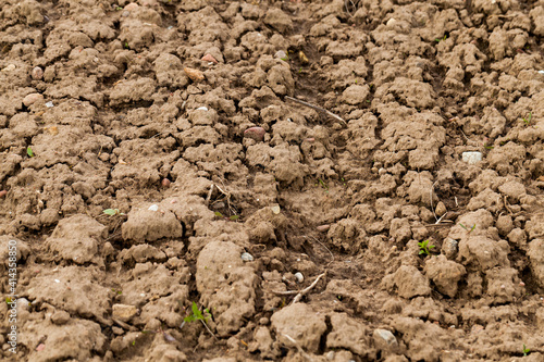 plowed land, close-up