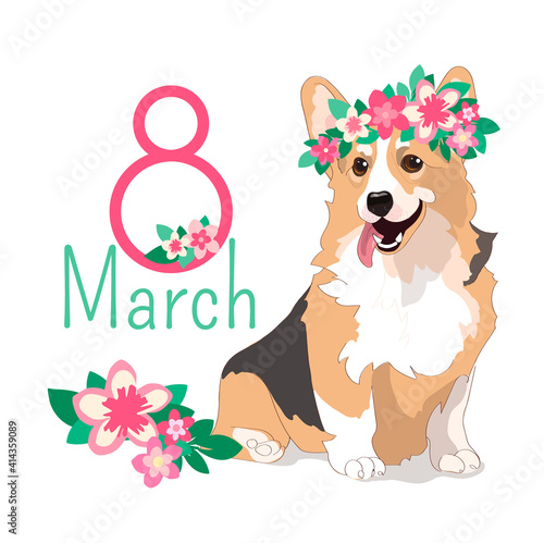 Funny holiday card with welsh corgi in a wreath of flowers. Contented dog with protruding pink tongue. The inscription from March 8. Vector greeting card for womens day isolated on a white background