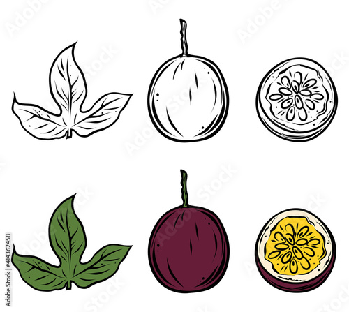 Set of passion fruits, color and monochrome, vector