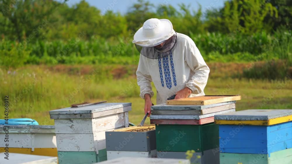 Beekeeper collects honey at apiary. Man dressed in protective white uniform. Summer garden background. Apiary on fresh air. Beekeeper collects honey at apiary. Man dressed in protective white uniform. Summer garden background. Apiary on fresh air.