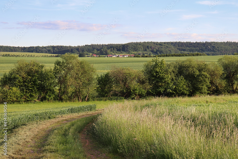 Obraz premium Dirt country road in rural Germany with a line of trees growing and the village of Potzbach in the background on a warm spring day.