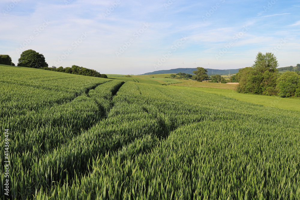Obraz premium Green fields in rural Germany near the village of Potzbach on a spring day.