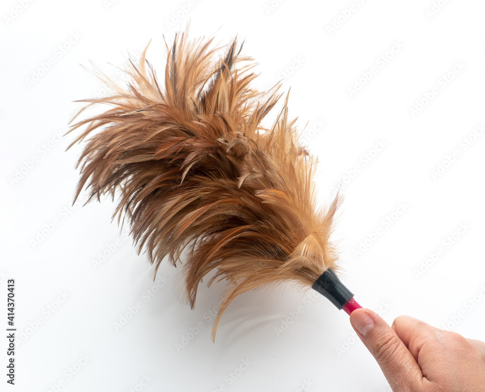 Wall Mural Hand was holding a feather duster on a white background, A feather duster is an implement used for cleaning, Housework