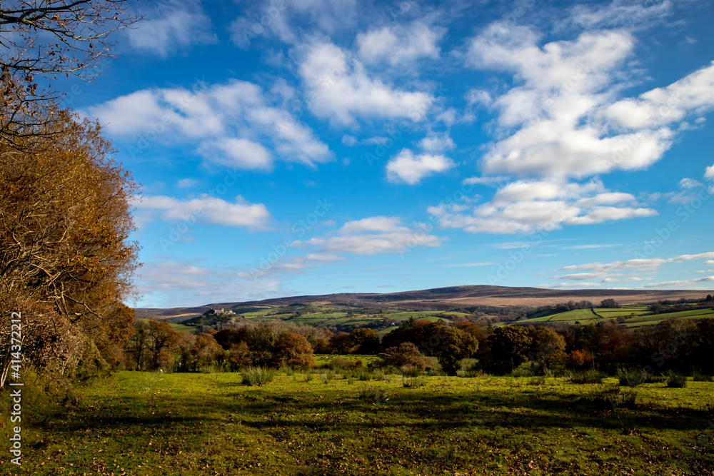 Fototapeta premium autumn landscape with trees