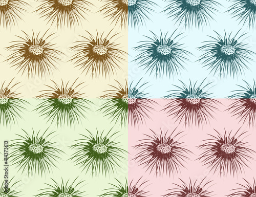 Seamless color backgrounds with field dandelion.