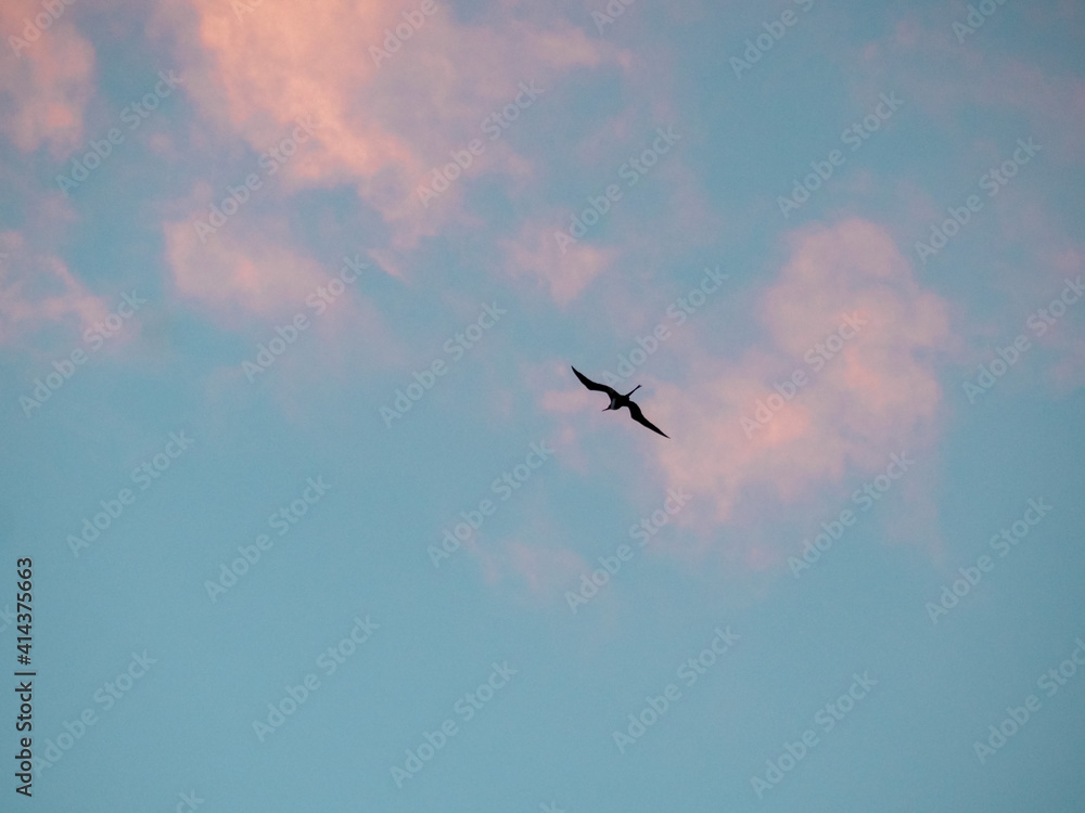 Obraz premium OLYMPUS DIGITAL CAMERA