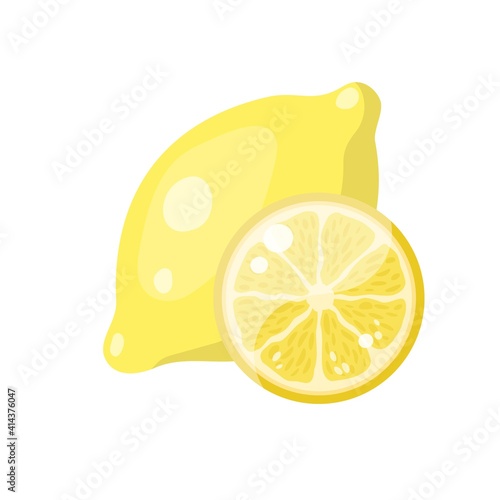 The illustration of lemon . Fresh citrus. Cut fruit slice. Isolated cartoon vector