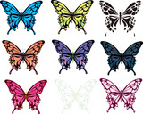 シンプルで綺麗な上から見た蝶々セット