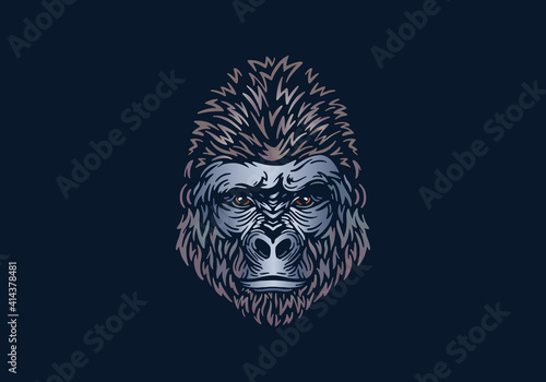 Gorilla head illustration, vector, hand drawn, isolated on black background, african animal