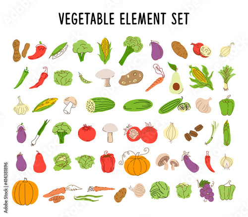 vegetable element set coloring. Collection of hand drawn vegetable illustrations isolated on white background. Bundle of fresh delicious vegetable