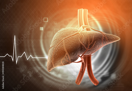 Human liver on medical background. 3d illustration.