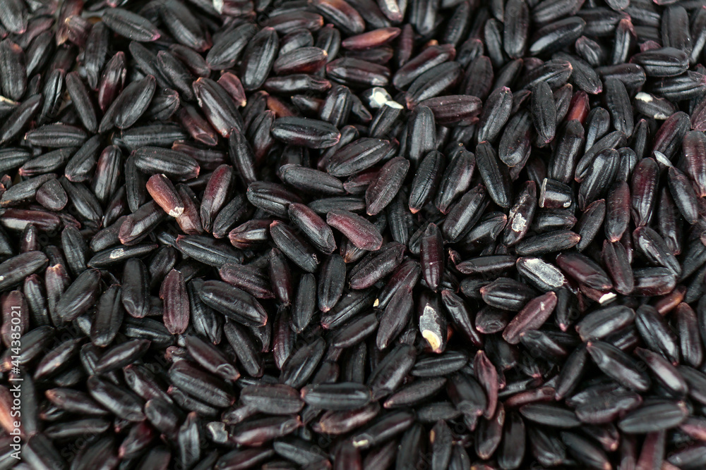 Black rice grains, close macro view Black rice grains, close macro view