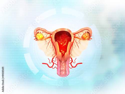 Female uterus on scientific background. 3d illustration..