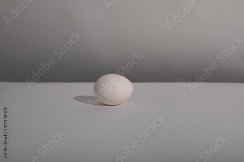 White single egg. Chicken egg with soft shadows on white background. Template for Easter holiday.