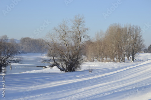 Panorama of the frozen backwater, Danube in December 2012.