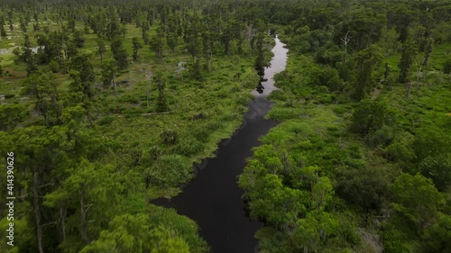 Flying over a river in the bayou photo