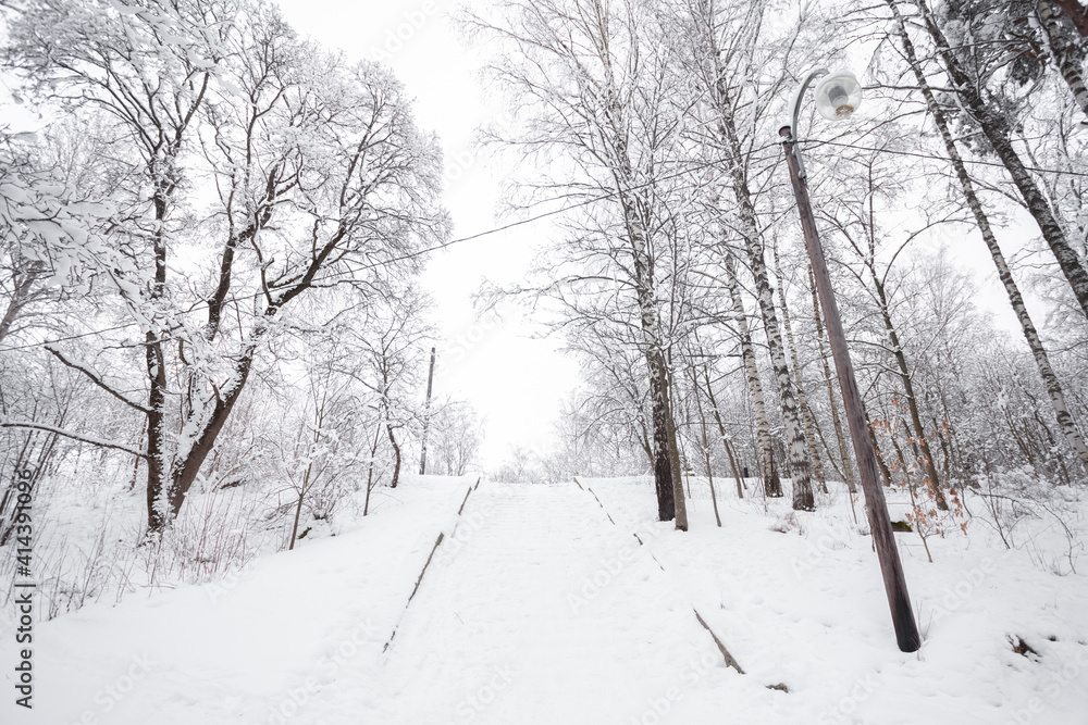 Fototapeta premium Snow-covered stairs in the park. winter landscape . Guiding lines.
