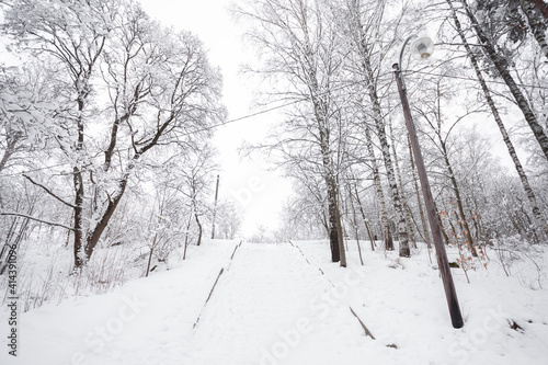 Snow-covered stairs in the park. winter landscape . Guiding lines.