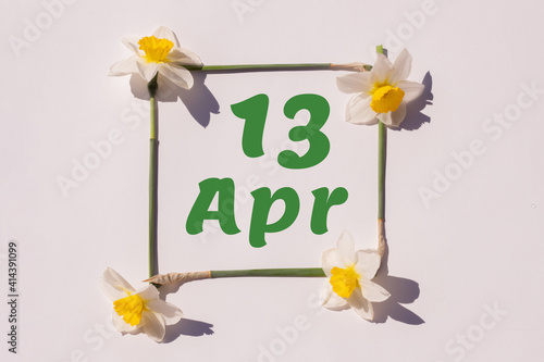 April 13, 13th day of the month, calendar date. Frame from flowers of a narcissus on a light background, pattern. View from above. Spring month, day of the year concept