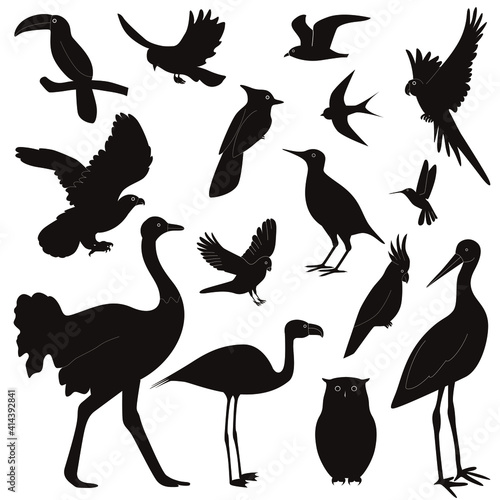 Flock of birds of different species, isolated on white background. Silhouettes of birds in flight, crow, hummingbird, parrot, owl, eagle, stork. Vector illustration