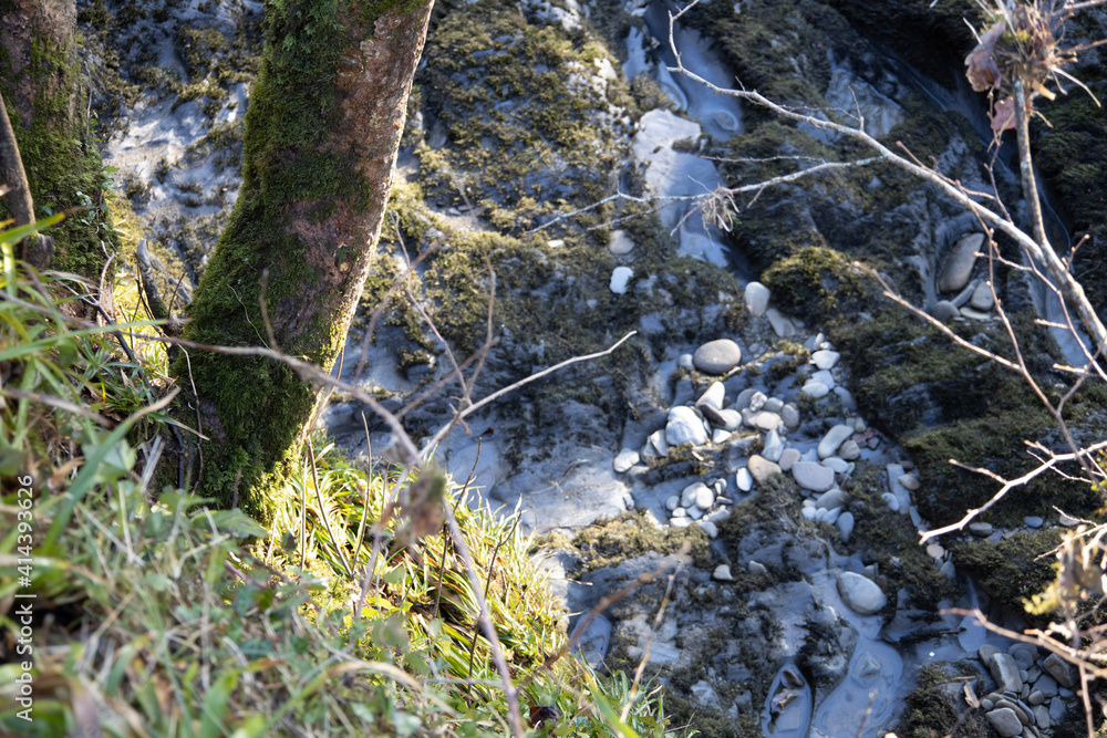 moss covered rocks moss covered rocks