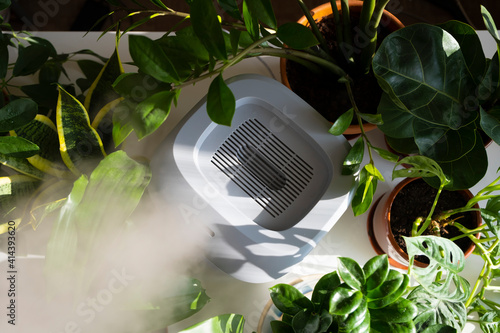Humidifier spreading steam into the living room.A humidifier among indoor plants. Healthy air at home. Tropical plants.