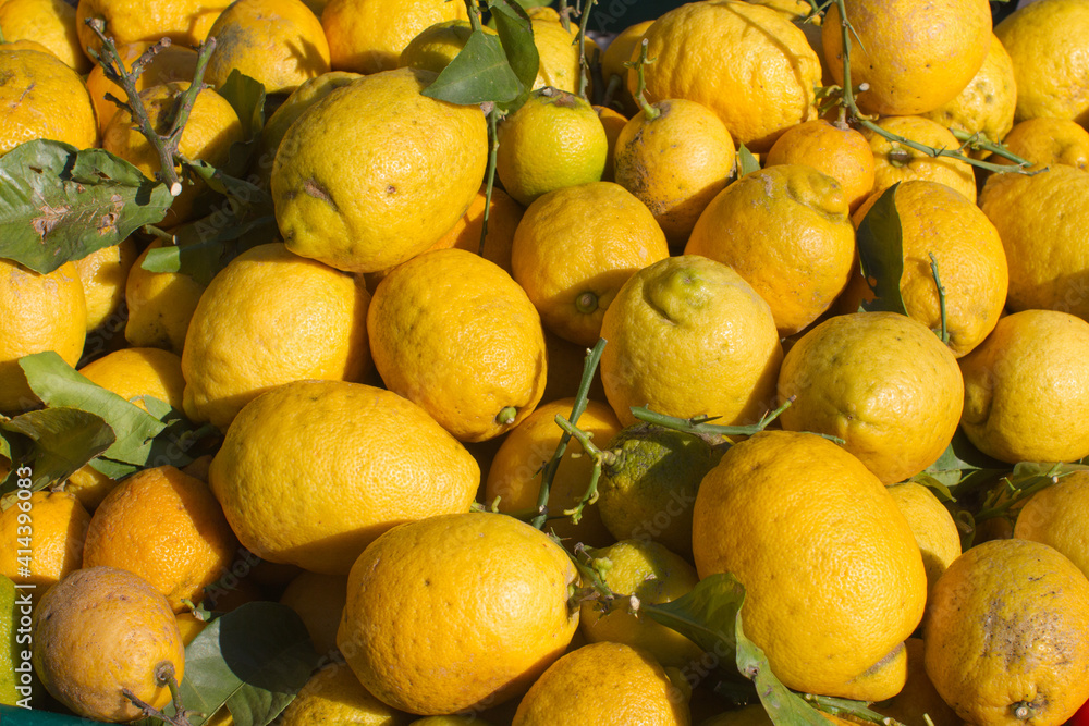 big organic yellow lemons at fruit market in winter time
