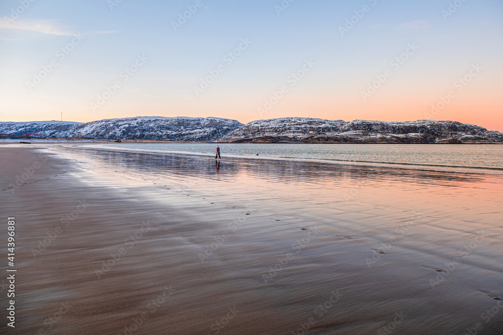 A lone traveler is moving along the seashore. Beautiful pink sunset on the Arctic Ocean. A peninsula with snow-capped hills on the horizon. Sea minimalistic landscape.