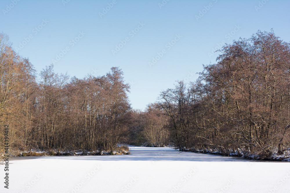 Beautiful view on a Dutch winter landscape, trees and a frozen lake, blue sky and lovely sunlight. A perfect place for enjoying envrironment, nature and stillness