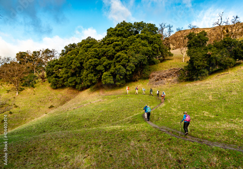 Fotografie, Obraz Hikers on an S shape curve trail hiking up a hill with trees and grass, Sunol Co