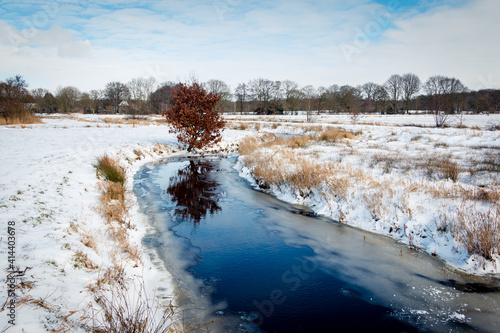 The river reest in winter time with a snowy landscape in the nature reserve 