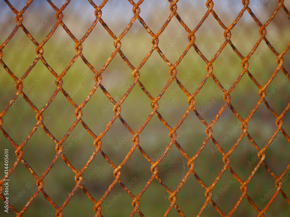 Fototapeta premium Rusty fence pattern at Deebles Point