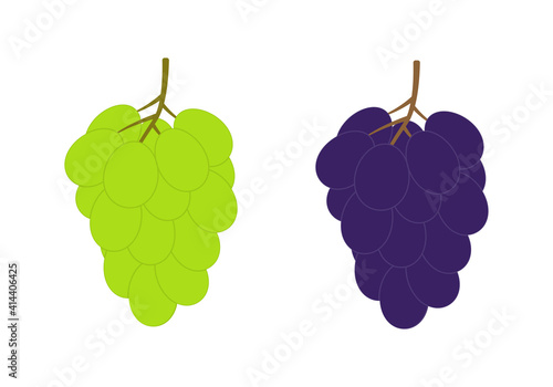Grape icon. Bunch of white and red grapes. Vector illustration.