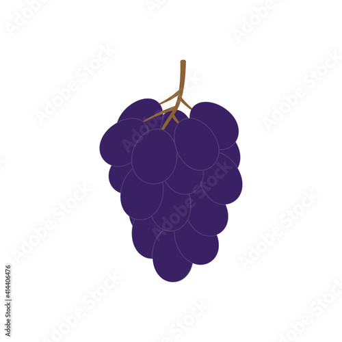 Grape icon. Bunch grapes. Vector illustration.