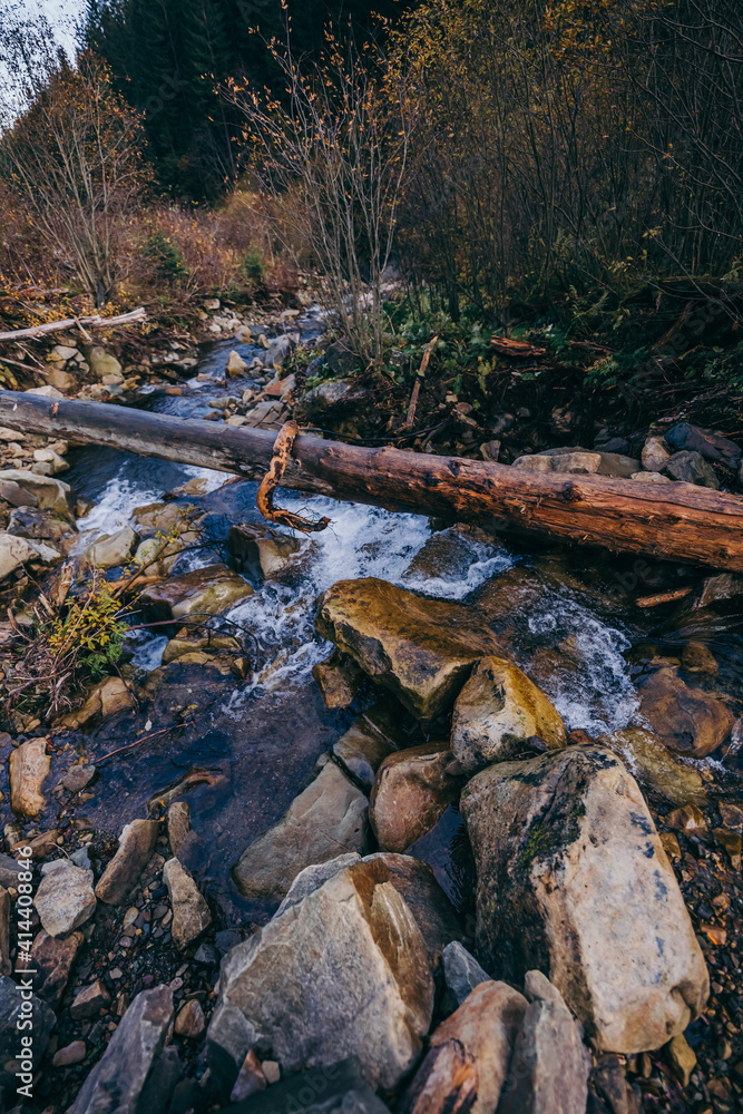 A river running through a forest a mountain A river running through a forest a mountain