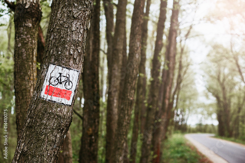 Bike trail sign on tree bark. Red cycling path. Nature activity background. Red paint travel information in forest. Bicycle graphic symbol on a tree. Asphalt road cycling.