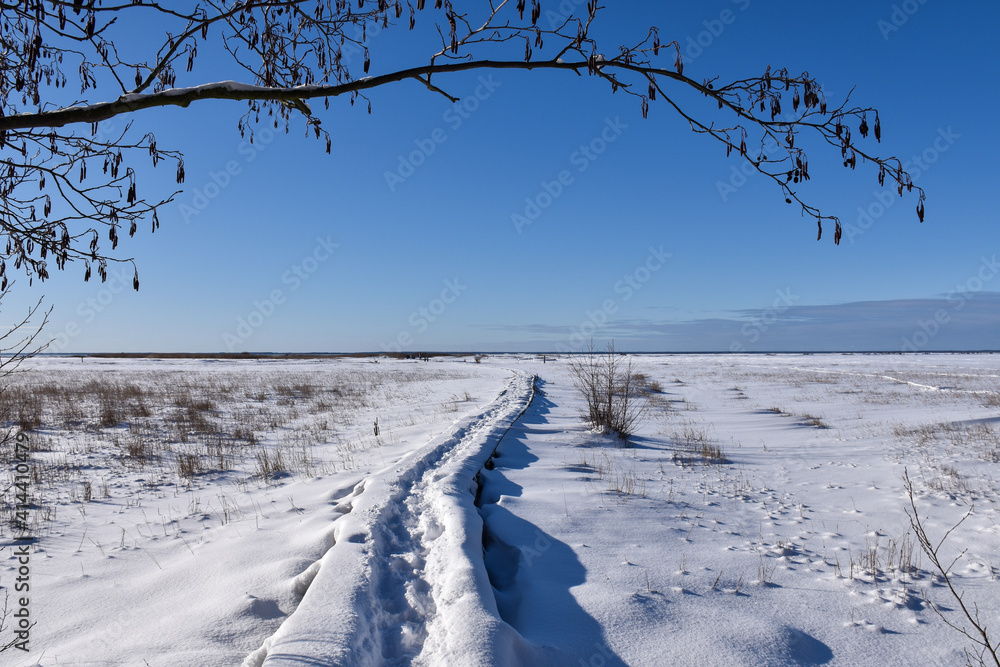 Fotografia Trail in a wintry marshland