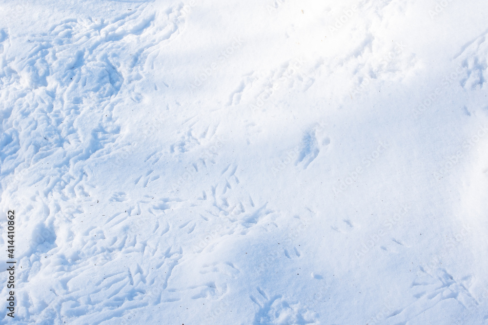 Multiple steps of bird paws on a blue snowdrift. Natural snow background.