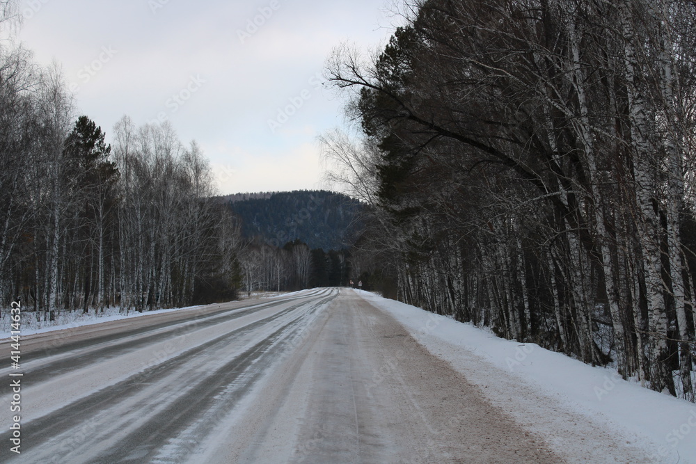 winter forest, on the way to the taiga winter forest, on the way to the taiga