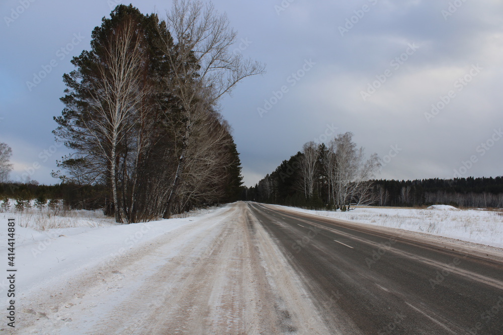 Fototapeta premium winter forest, on the way to the taiga