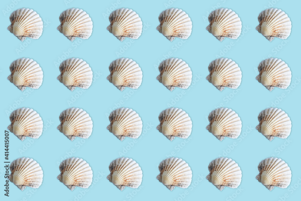 sea shell pattern on blue background