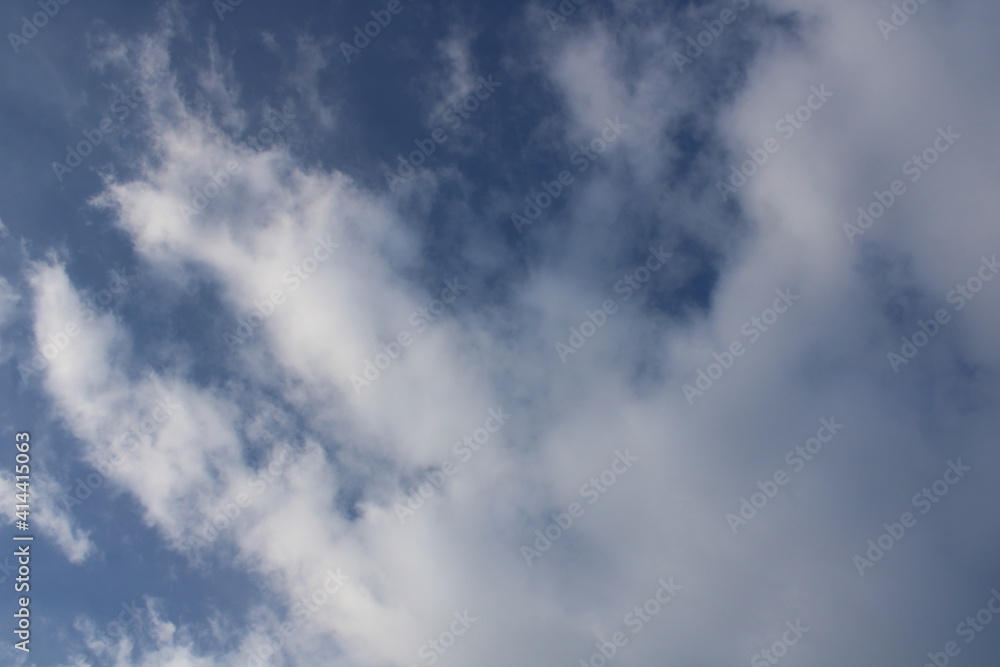 Fototapeta premium The sky in the forest, close to the taiga